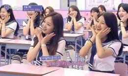 韩国限制综艺在线观看,在线观看受限，粉丝热议影响