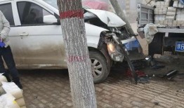 杞县付集车祸最新爆料新闻,悲剧现场细节披露，伤亡情况引关注